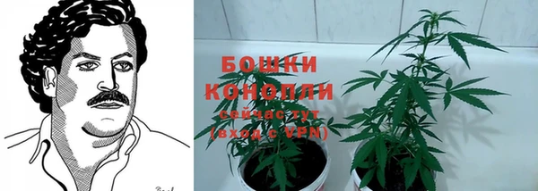 героин Алексин