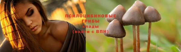 метадон Алзамай