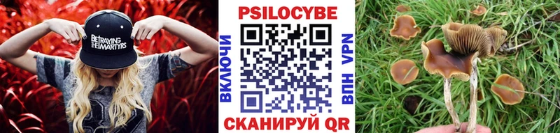 Галлюциногенные грибы GOLDEN TEACHER ОМГ ОМГ вход Удачный